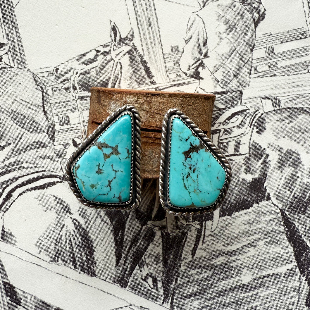 Tyrone Turquoise Studs